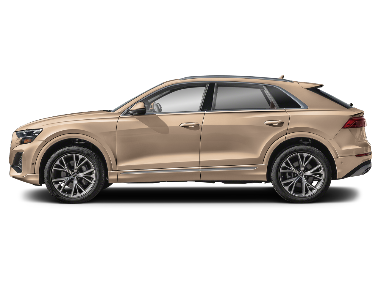 2025 Audi Q8 55 Premium Plus quattro