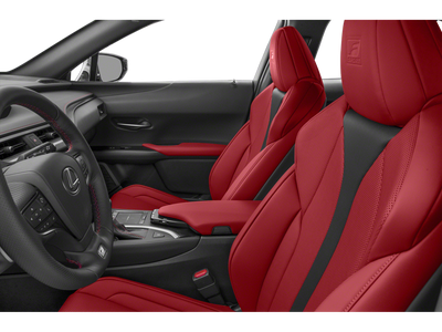 2019 Lexus UX 200 F SPORT