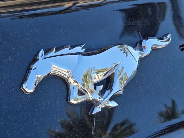 2019 Ford MUSTANG ECOBOOST