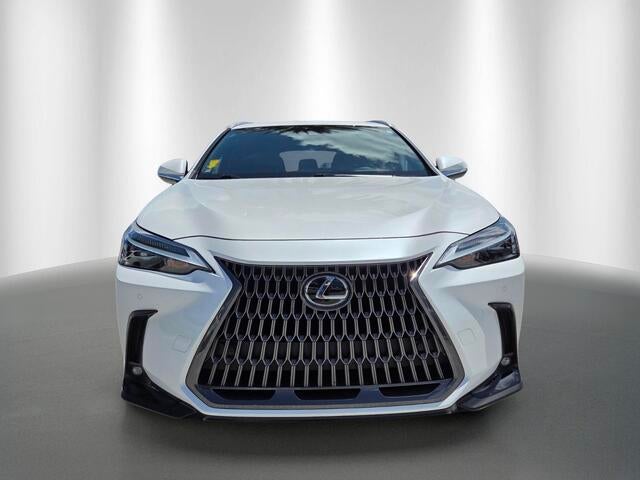 2024 Lexus NX 250 PREMIUM