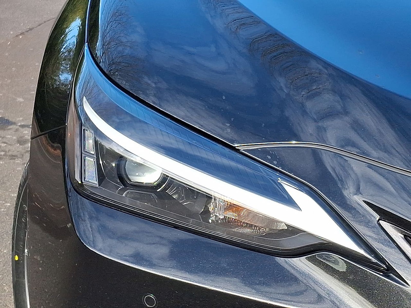 2023 Lexus NX 350 Premium