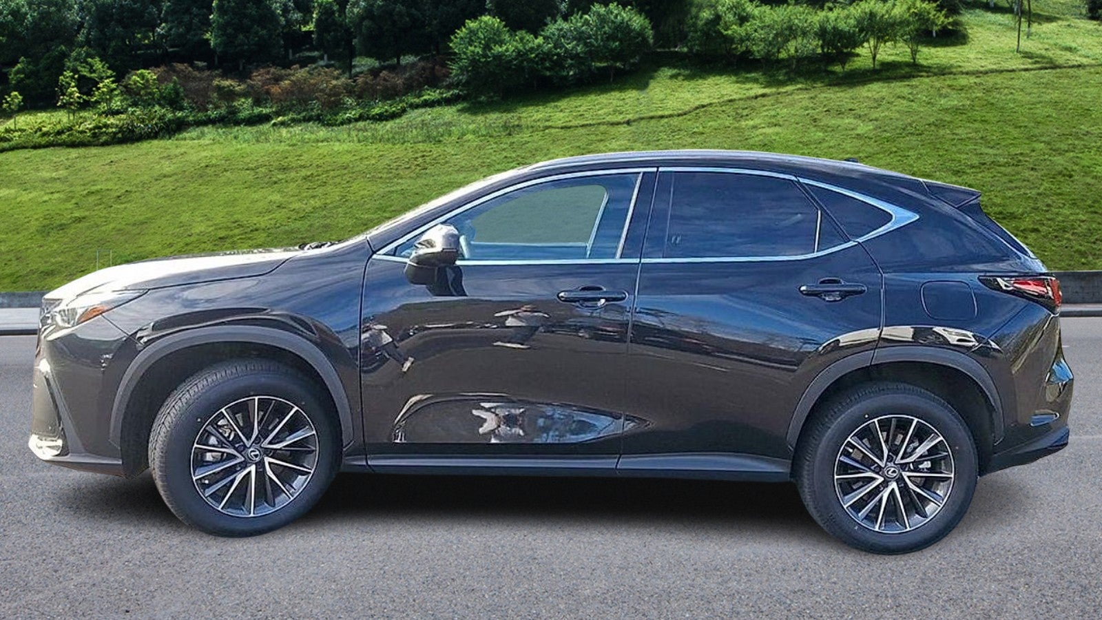 2023 Lexus NX 350 Premium