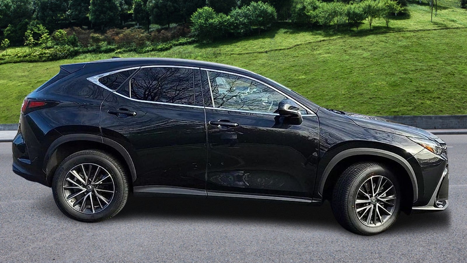 2023 Lexus NX 350 Premium