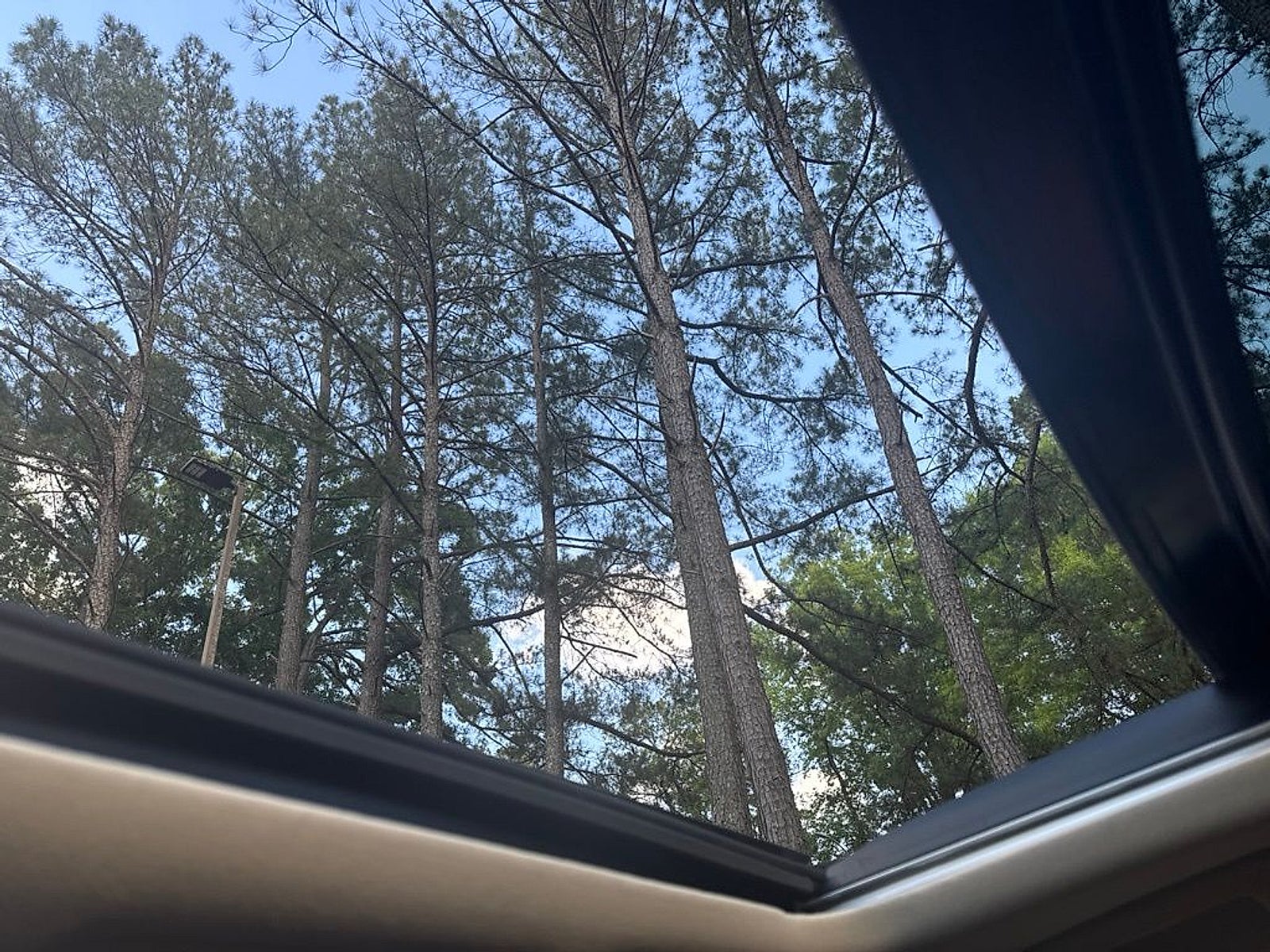 2021 Lexus RX 350 RX 350
