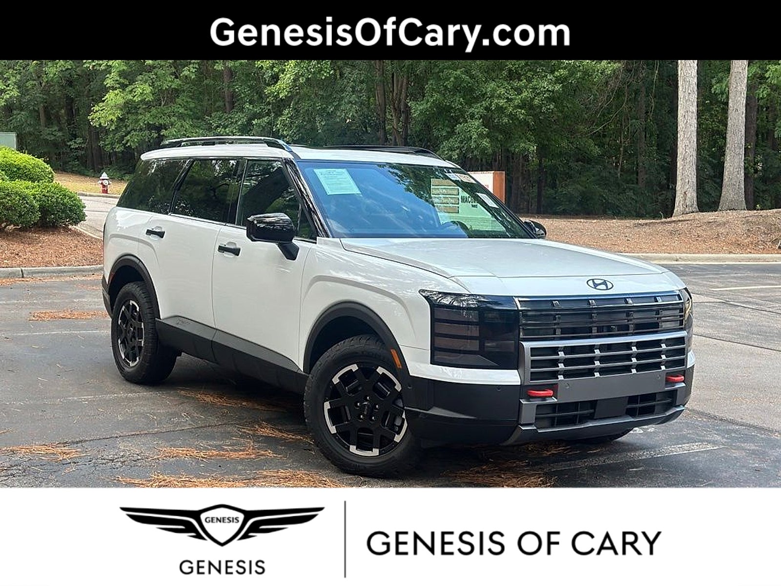 2026 Hyundai Palisade XRT Pro