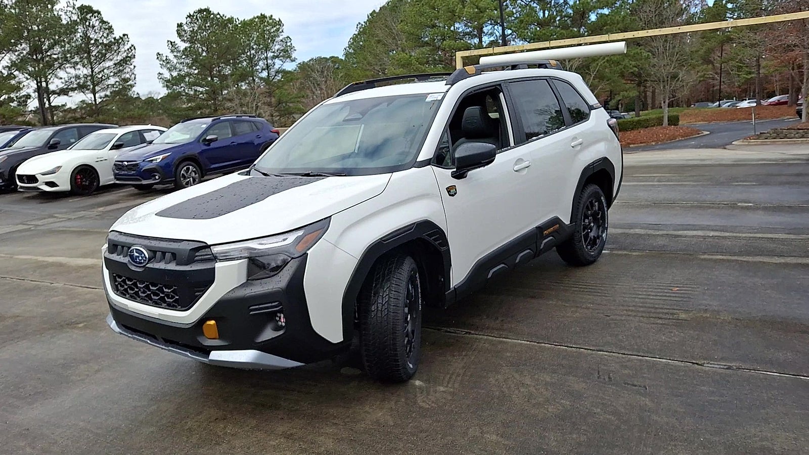 2026 Subaru Forester Wilderness