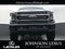 2020 Ford F-250SD Platinum
