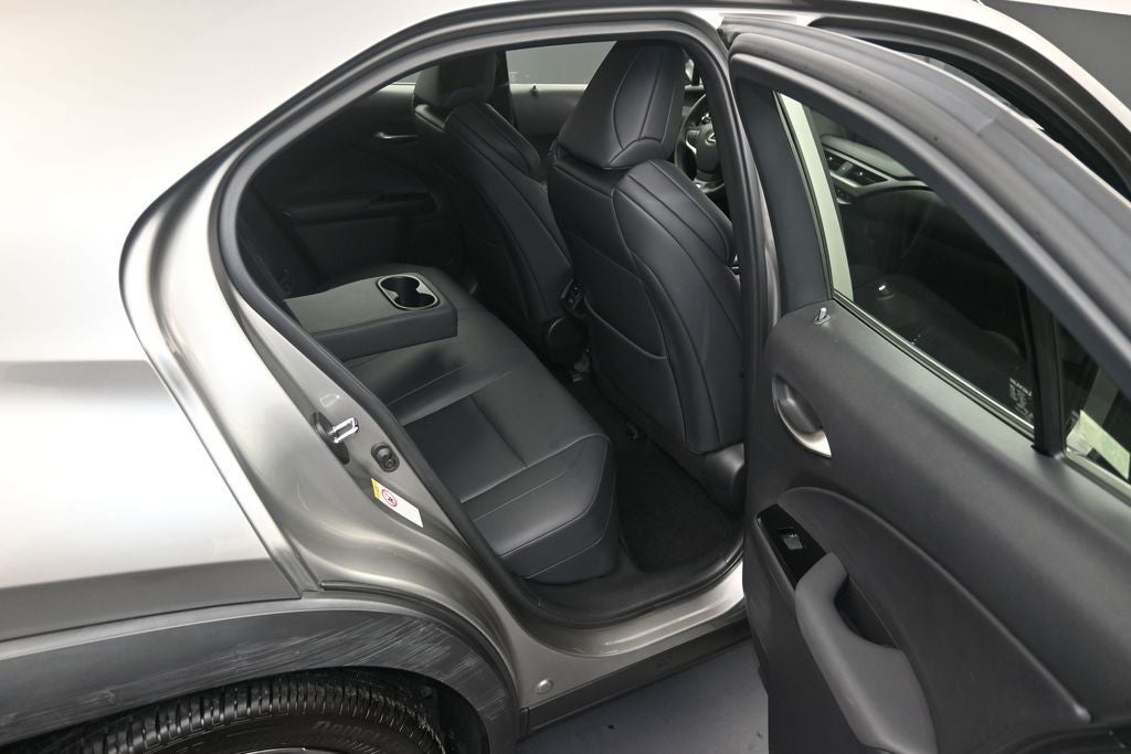 2019 Lexus UX 200 F SPORT