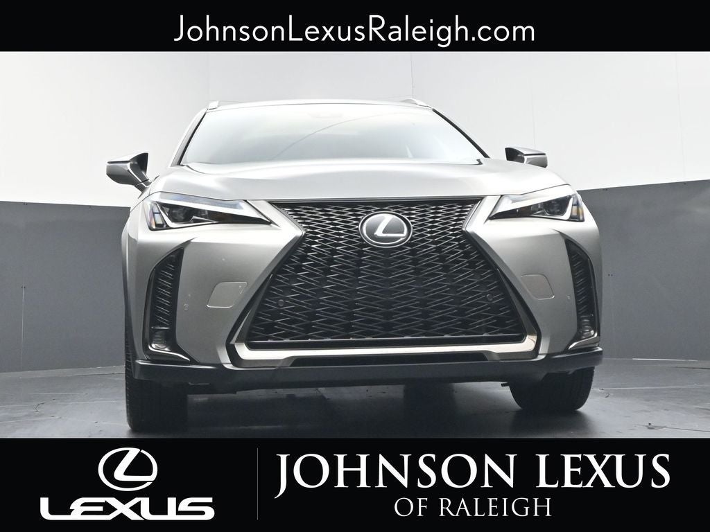 2019 Lexus UX 200 F SPORT