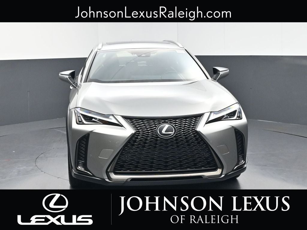 2019 Lexus UX 200 F SPORT