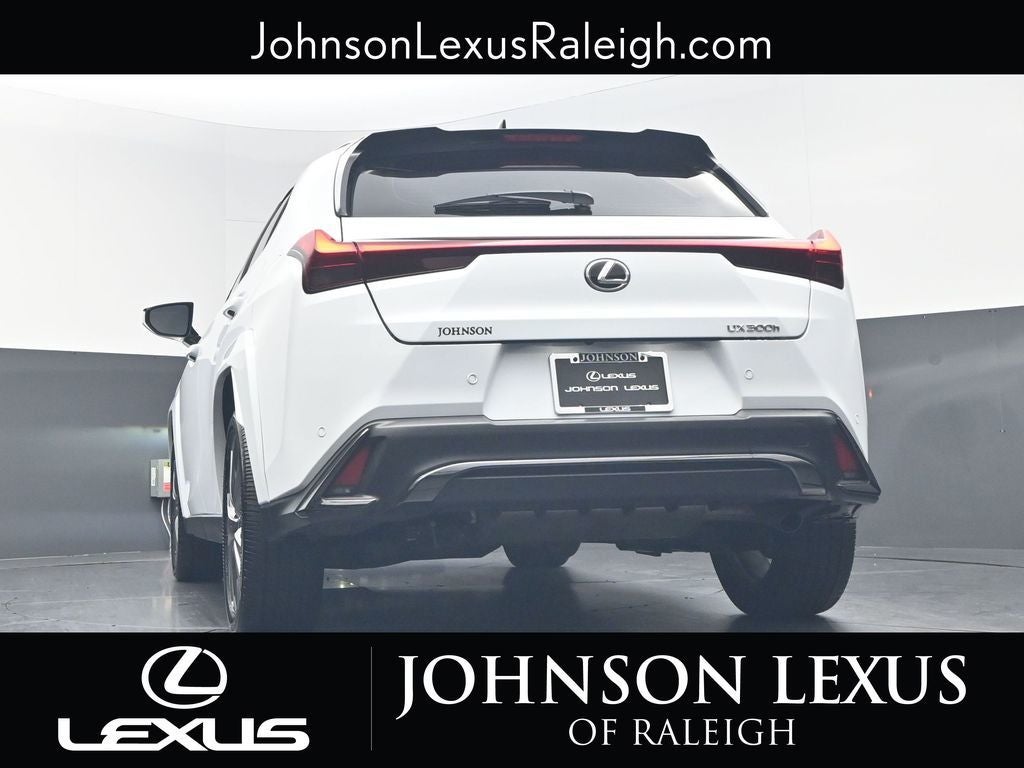 2025 Lexus UX 300h F SPORT Design