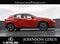 2025 Lexus UX 300h Premium