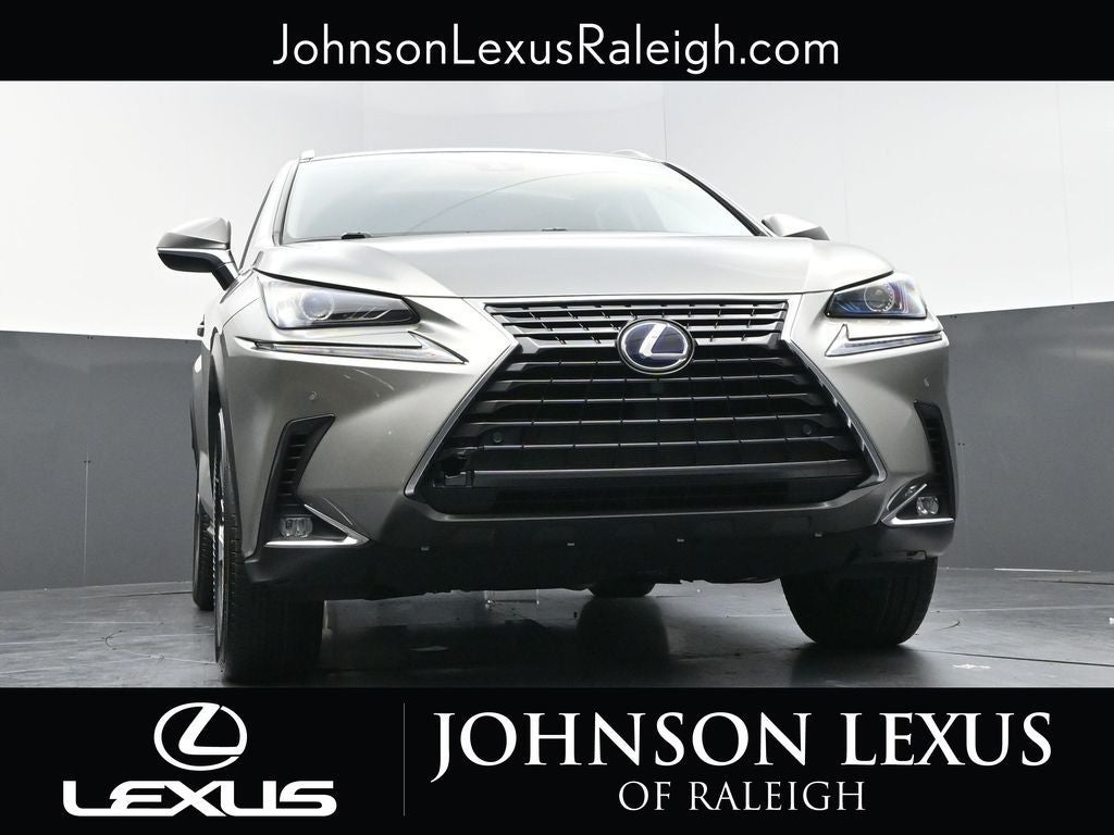 2019 Lexus NX 300h