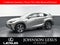 2019 Lexus NX 300h