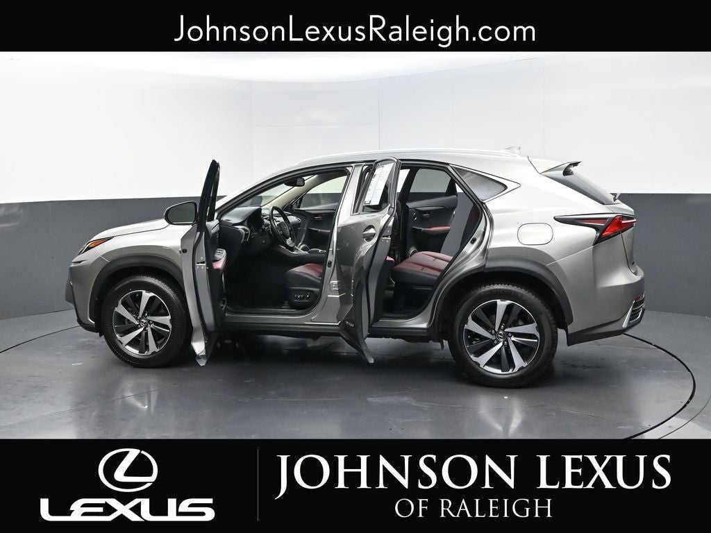 2019 Lexus NX 300h