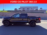 2021 Ford F-150 XL STX PACKAGE/NAV/BLIND SPOT/PARK AST/4X4/NEW TIRES