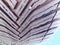 2017 Lexus RX 350 PANO ROOF/MARK LEV/HEAD UP/360 CAM/SMART CRUISE