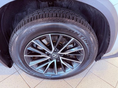 2025 Lexus NX 250 Premium CARPLAY/SUNROOF