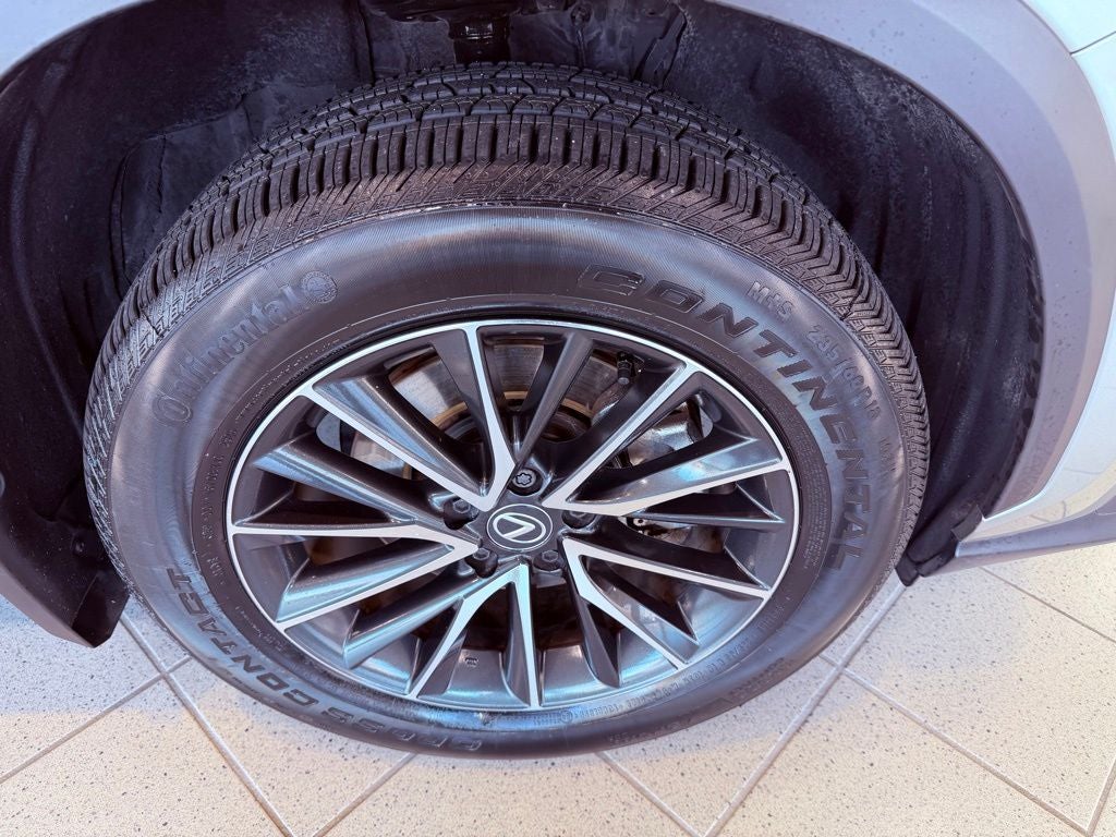 2025 Lexus NX 250 Premium CARPLAY/SUNROOF