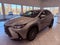 2025 Lexus NX 250 Premium CARPLAY/SUNROOF