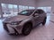 2024 Lexus NX 250 Premium SMART CRUISE/PARK AST/1 OWNER/SUNROOF