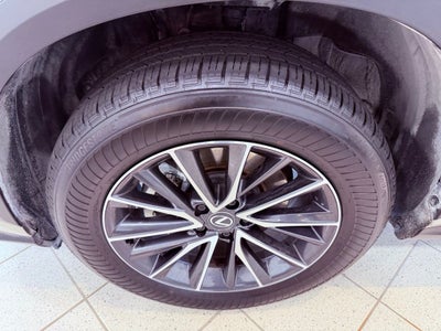 2025 Lexus NX 250 Premium CARPLAY/PARK ASSIST