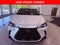 2025 Lexus NX 250 Premium SUNROOF/CARPLAY/BLIND SPOT/PARK AST