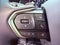 2025 Lexus NX 250 Premium SUNROOF/CARPLAY/BLIND SPOT/PARK AST