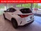 2025 Lexus NX 250 Premium SUNROOF/CARPLAY/BLIND SPOT/PARK AST