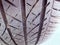 2025 Toyota Camry SE CONVENIENCE PKG/SUNROOF/BLIND SPOT/SMART KEY