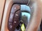 2015 Buick Enclave Leather Group PANO ROOF/BOSE/BLIND SPOT/LEATHER/1-OWNER