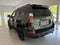2023 Lexus GX 460 BLACKLINE EDITION/L-CERT UNLIMITED MILE WARRANTY