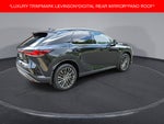 2023 Lexus RX 350 Luxury