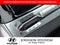 2024 Kia Carnival SX