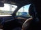 2021 Volvo XC90 T6 Momentum
